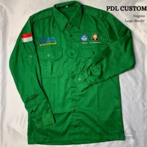 PDL/PDH